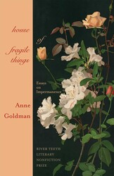 House of Fragile Things