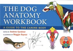 Dog Anatomy Workbook Dog Anatomy Workbook