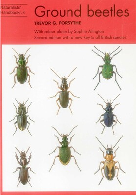 Ground Beetles Ground Beetles