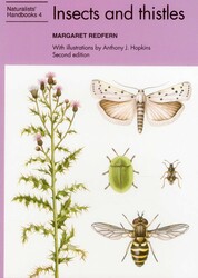 Insects and Thistles