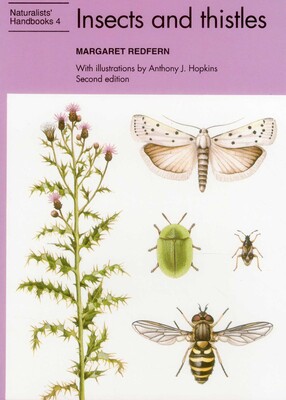 Insects and Thistles Insects and Thistles