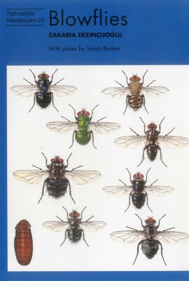 Blowflies Blowflies