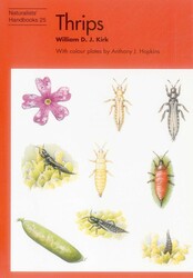 Thrips