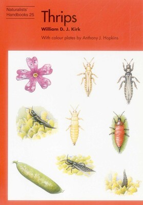 Thrips Thrips