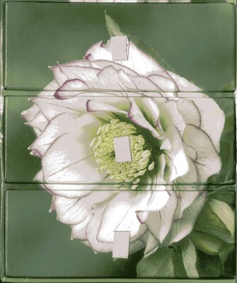 Flower Portraits' Three-Drawer Card Box with 60 Gift Cards and Envelopes Flower Portraits' Three-Drawer Card Box with 60 Gift Cards and Envelopes
