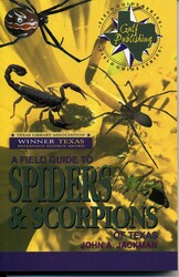 A Field Guide to Spiders & Scorpions of Texas A Field Guide to Spiders & Scorpions of Texas