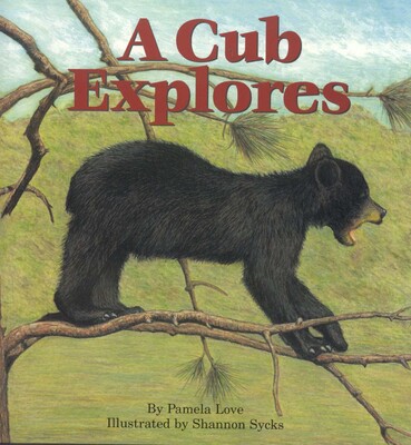 A Cub Explores A Cub Explores