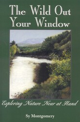 The Wild Out Your Window The Wild Out Your Window