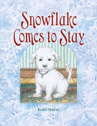 Snowflake Comes to Stay Snowflake Comes to Stay