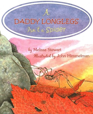Daddy Longlegs Isn't a Spider Daddy Longlegs Isn't a Spider