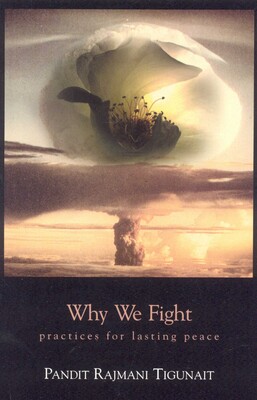 Why We Fight Why We Fight