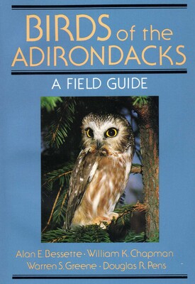 Birds Of The Adirondacks Birds Of The Adirondacks