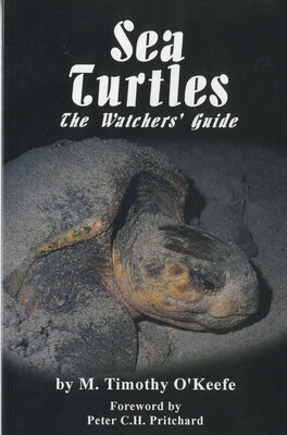 Sea Turtles Sea Turtles
