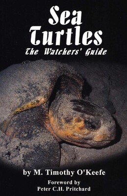 Sea Turtles Sea Turtles