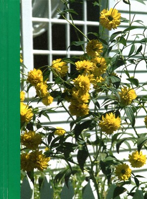 Window Breeze Book Of Days Window Breeze Book Of Days