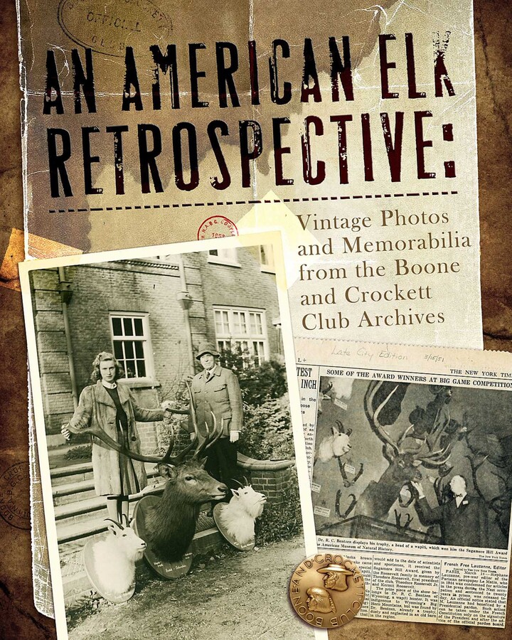 American Elk Retrospective