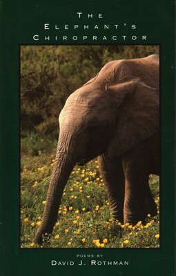 Elephant's Chiropractor Elephant's Chiropractor