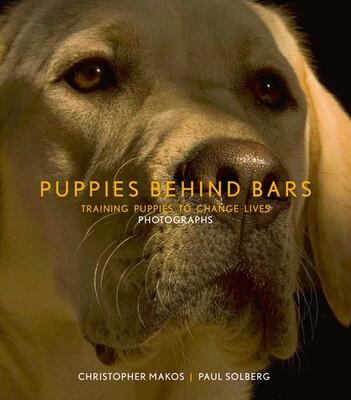 Puppies Behind Bars Puppies Behind Bars