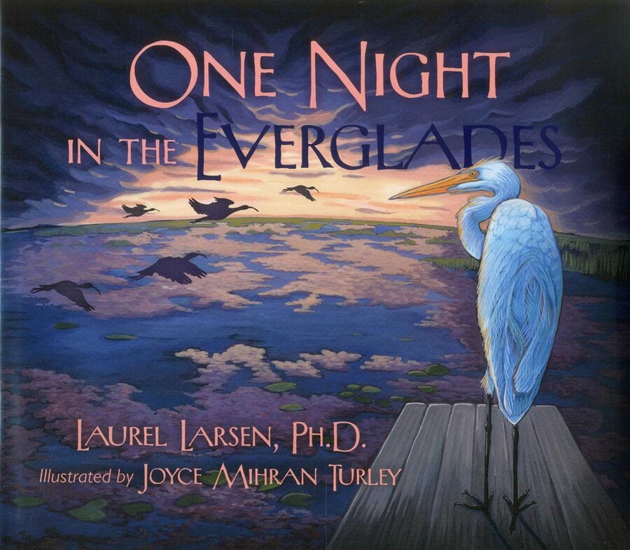 One Night in the Everglades