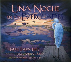 Noche en los Everglades Noche en los Everglades