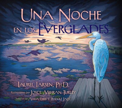 Noche en los Everglades Noche en los Everglades