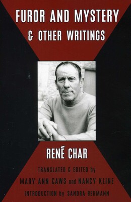 Furor & Mystery and Other Writings Furor & Mystery and Other Writings