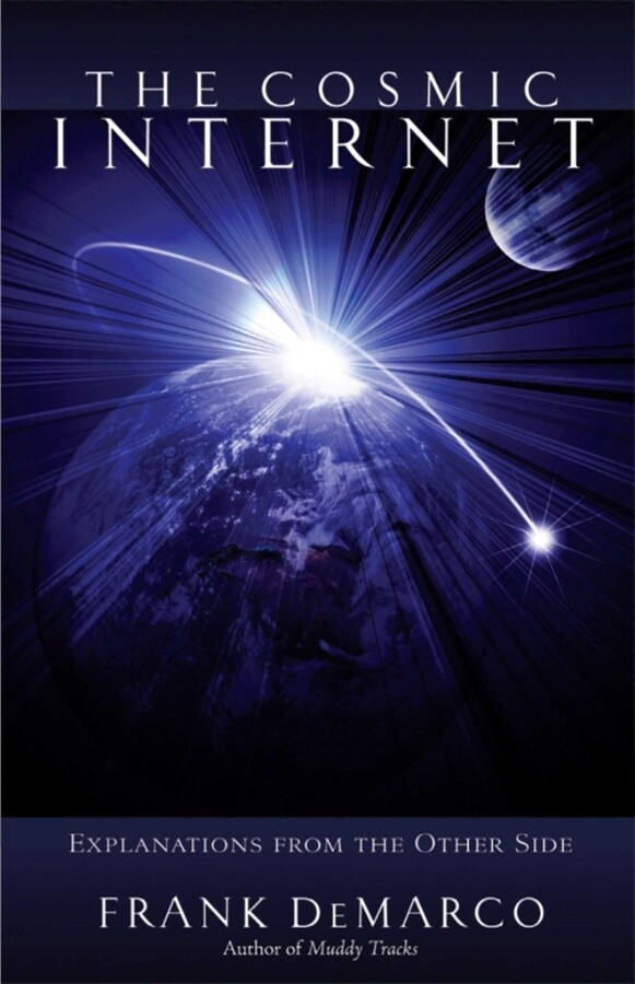 Cosmic Internet