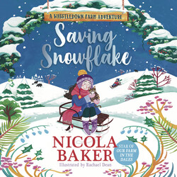 Saving Snowflake Saving Snowflake