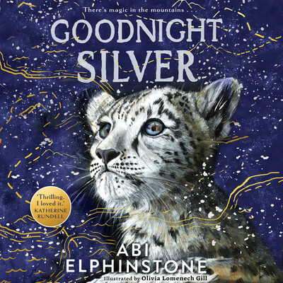 Goodnight Silver