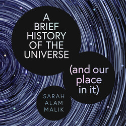 A Brief History of the Universe (and our place in it)