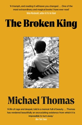 The Broken King The Broken King
