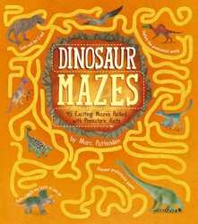 Dinosaur Mazes Dinosaur Mazes