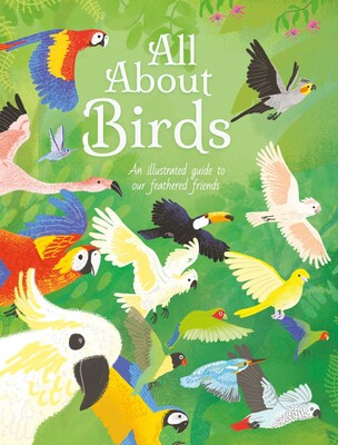 All About Birds All About Birds