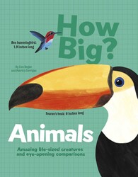 How Big? Animals How Big? Animals