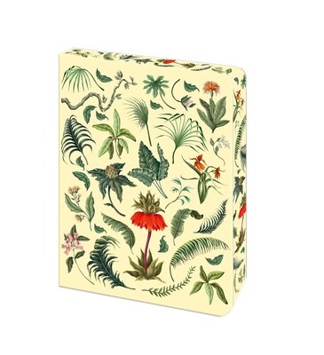 The Fern Journal The Fern Journal