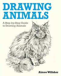 Drawing Animals Drawing Animals