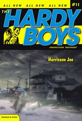 Hurricane Joe Hurricane Joe