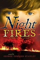 Night Fires Night Fires