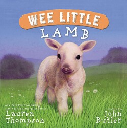 Wee Little Lamb Wee Little Lamb