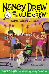 Lights, Camera . . . Cats! Lights, Camera . . . Cats!