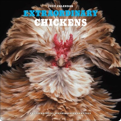 Extraordinary Chickens 2027 Wall Calendar Extraordinary Chickens 2027 Wall Calendar