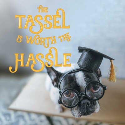 Tassel Is Worth the Hassle Tassel Is Worth the Hassle