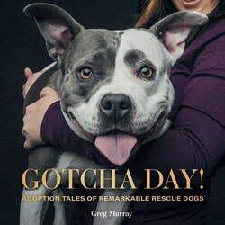 Gotcha Day! Gotcha Day!