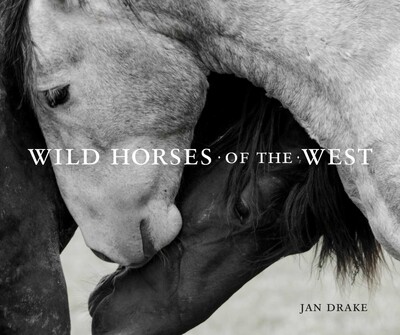 Wild Horses of the West Wild Horses of the West
