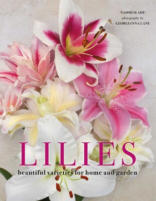 Lilies Lilies