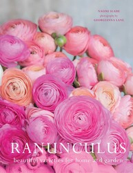 Ranunculus Ranunculus
