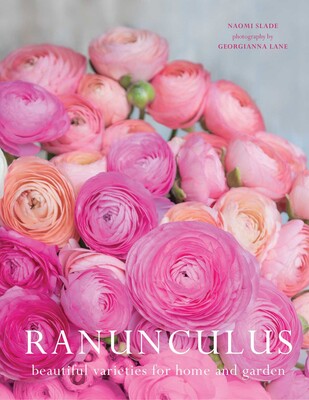 Ranunculus Ranunculus