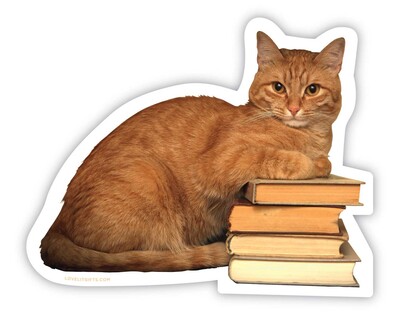 Smarty Cat Sticker (Pack of 6) Smarty Cat Sticker (Pack of 6)