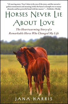 Horses Never Lie about Love Horses Never Lie about Love