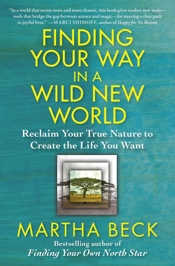Finding Your Way in a Wild New World